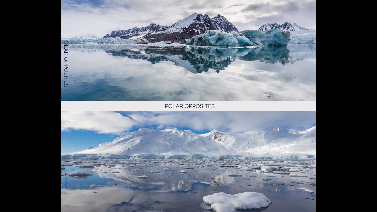 Polar Opposites Offset Print Proofs