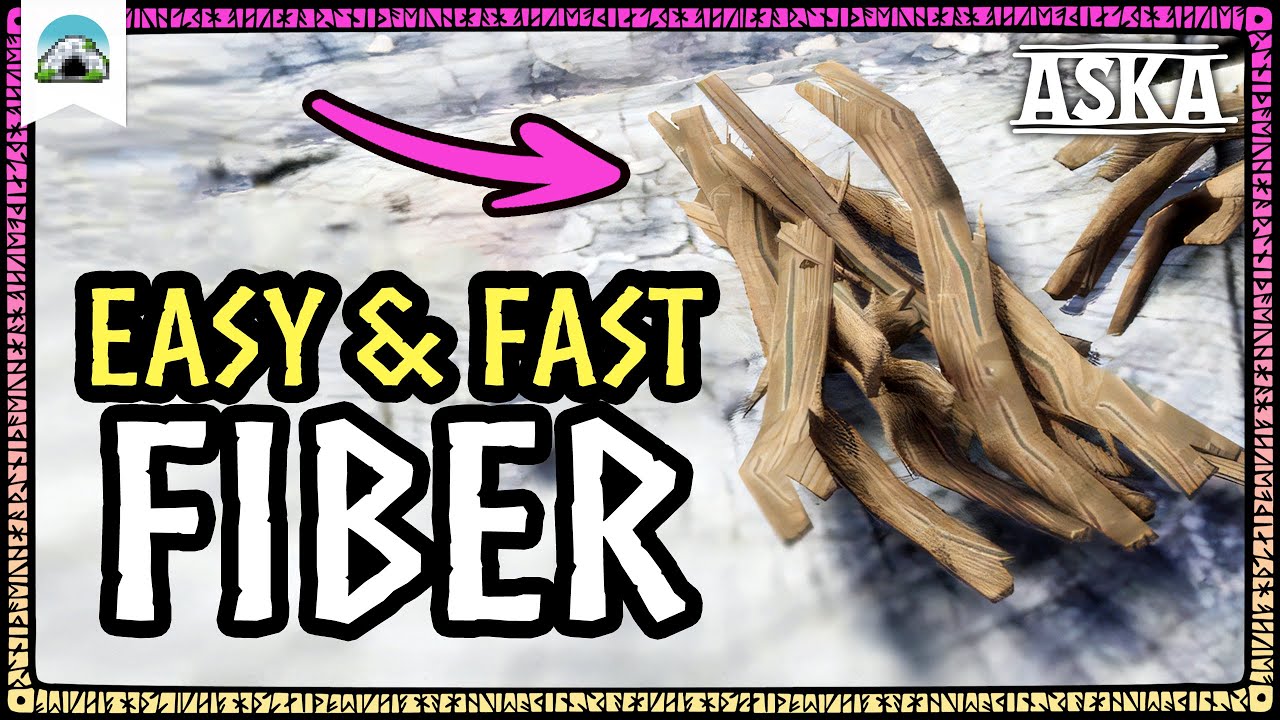 How to get more FIBER – Easy Resource Tips for Beginners | ASKA