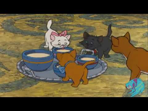 Marie -  Nós gatos nascemos livre.