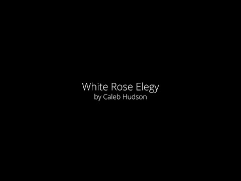 White Rose Elegy by Kaleb Hudson