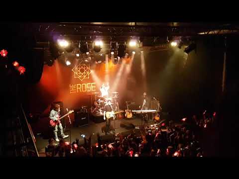 181130 The Rose (더 로즈) photograf + sorry - Paint It Rose in Stockholm