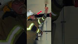 #videos  #viral  #historias #brasil