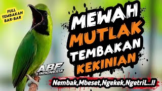 Download lagu Di jamin MASUK ! MASTERAN CUCAK HIJAU FULL ISIAN TEMBAKAN KASAR KEKINIAN‼️ mp3