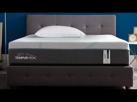 Best Mattress for Back Pain 2022 [Top 9 Mattress Picks]