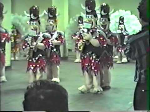 1987 Show of Shows Pit  Avalon String Band  Boppin' In Boulder City