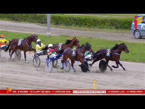 IV Corsa del 5 Aprile 2023 - 5 Anni ed oltre - Metri 1600