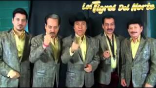 Los Tigres Del Norte - Tu Carcel spot
