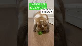 どーしても髭に見える
