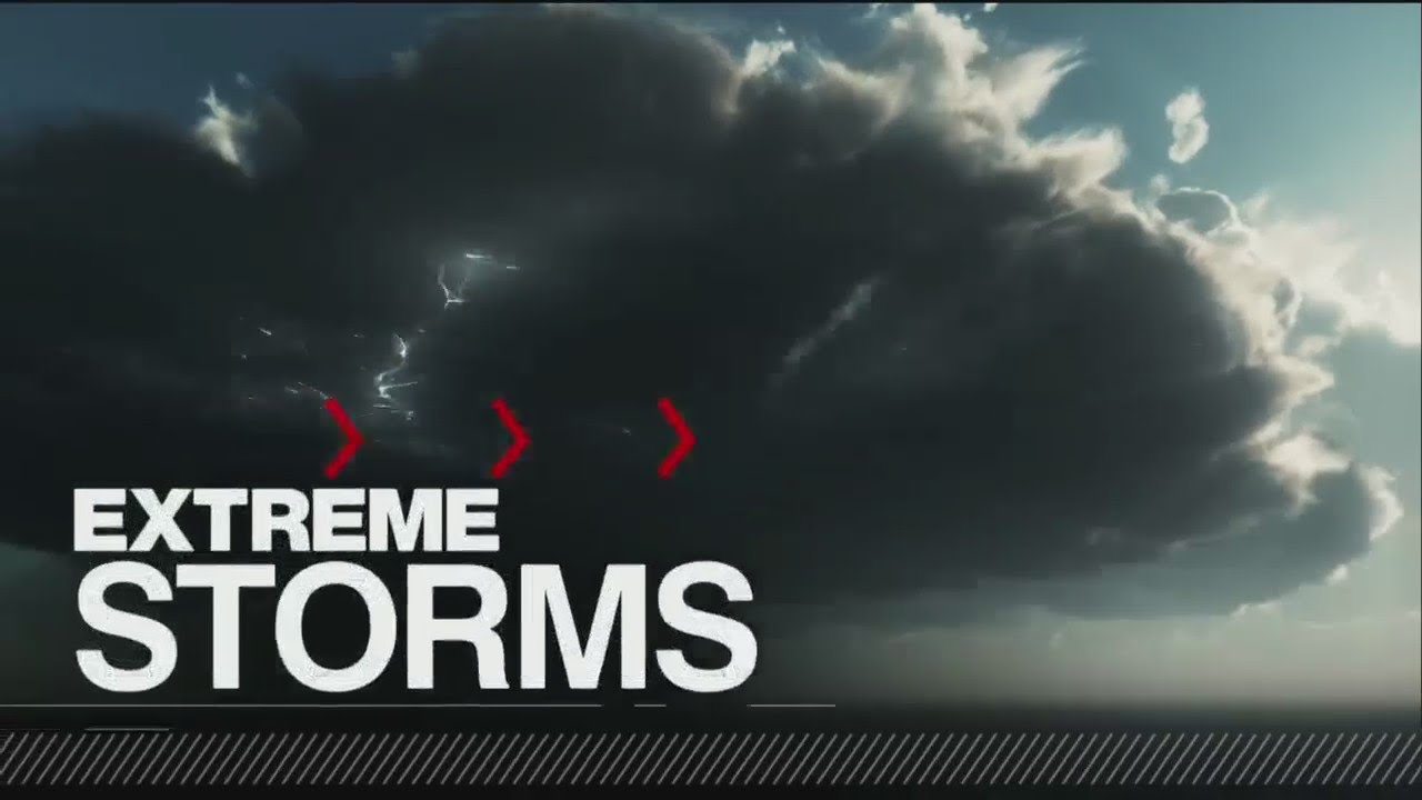 WWF Report Warns of 69% Wildlife Decline Since 1970