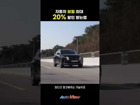 자동차 보험료 20% 할인 받는 옵션들