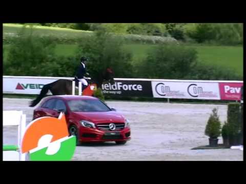 ***SOLD*** mare 2007 by Balou du Rouet 140 jumper!