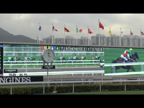 Asian Sweep in Hong Kong: Sport's Beauty Shines at International Races