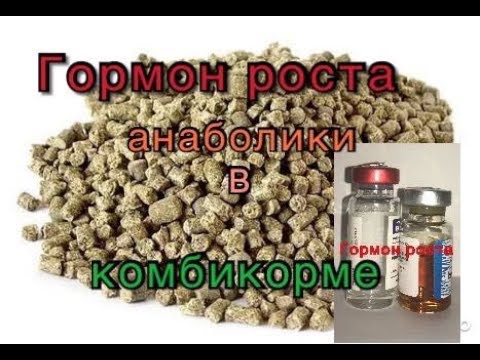 Гормон Роста Для Растений Купить
