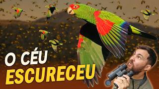 Miniatura do vídeo