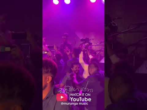 Sanda wage pena | Hana Shafa Live With Murunga music #hanashafa #liveperformance #sandawagepena