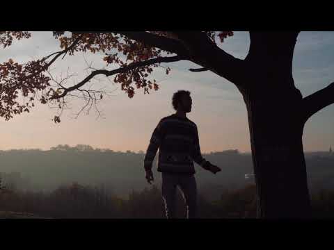 Shungu - Don't really know ...