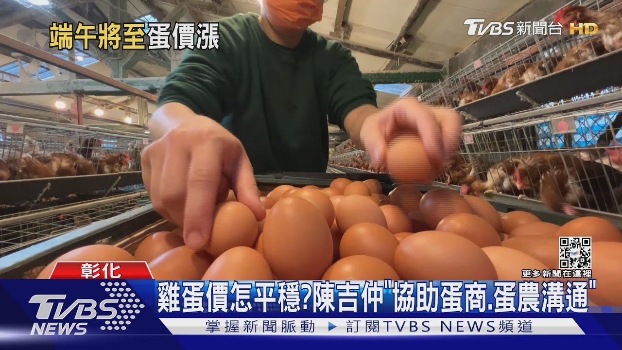 雞、鴨蛋價短期難降 陳吉仲:飼料8月還會漲