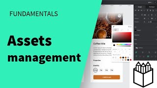 Assets management - Penpot Fundamentals