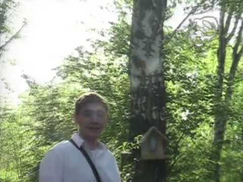 Yabujin Chalice of Mind ( Dayerteq parody )