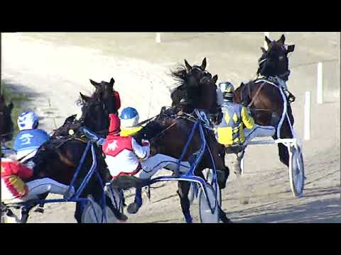 Napoli Trotto 24/03/2023 - 6ª corsa