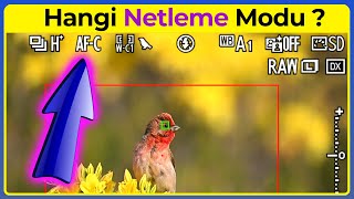 Otomatik Netleme Modları Nedir? | AF-S mi AF-C mi? | Nikon Otomatik Odaklama Mod