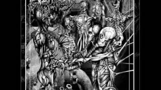 No Quarter - Exhumed (Led Zeppelin Cover)