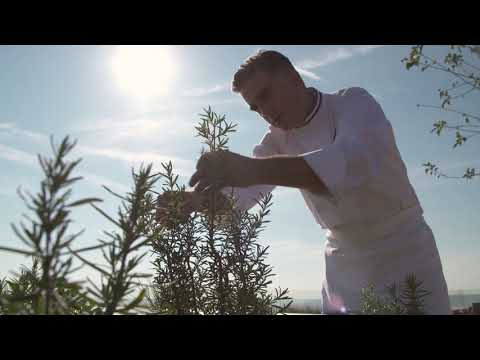 Royal Champagne Hotel & Spa   Video