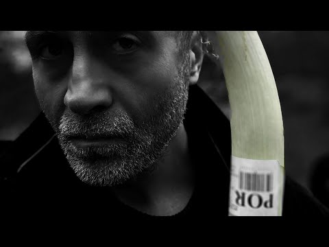 5 strun percepcji. Neuromedytacja