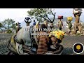 Big Zulu Inhlupheko Official Lyrics Ft Mduduzi