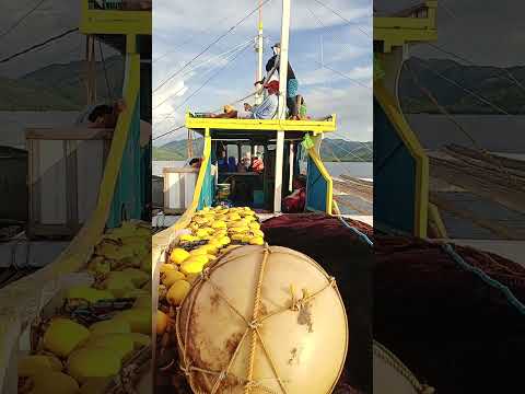 paowe n.walang hulli