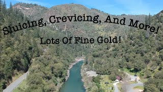 Sluicing, Crevicing, And More! Gold From Moss!