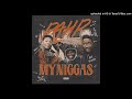 Pahp My Niggas Audio