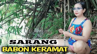 Download lagu Mancing ikan tawar di sungai besar hutan kampung pedesaan mp3