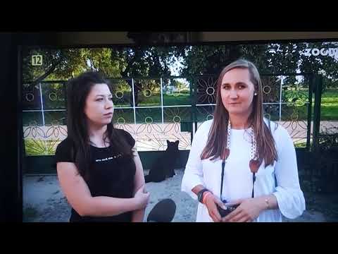 Obrazek poglądowy filmu YouTube