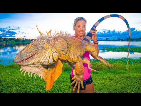 Massive IGUANA Hunting in my Backyard! Catch Clean Cook! *WORLD RECORD!*