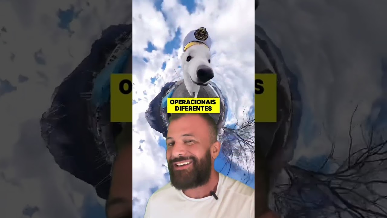 CÃES ADOTADOS - ADAPTAÇÃO