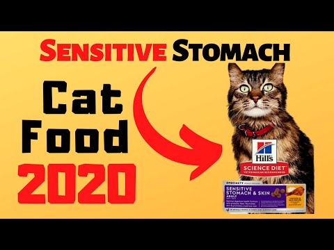 Top 5 Best Cat Food For Sensitive Stomach 2020  | Exclusive Cat Food For Sensitive Stomach Right Now