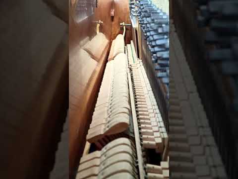 DanyloM & Wolfgang Lohr - Ballade No. 1 #shorts