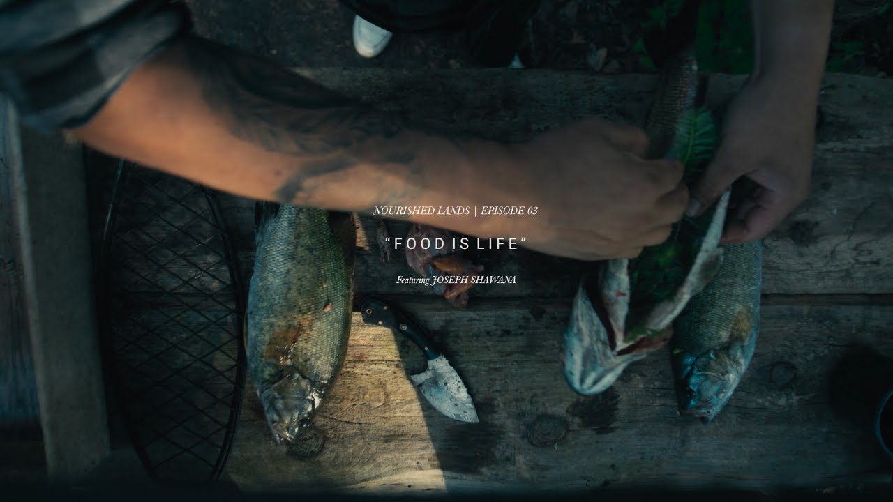 Nourished Lands | Ep. 3: Food is Life
