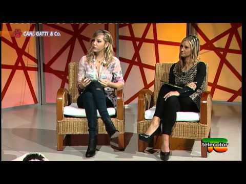 Cura di eczema da urina Discussione di cura di psoriasi