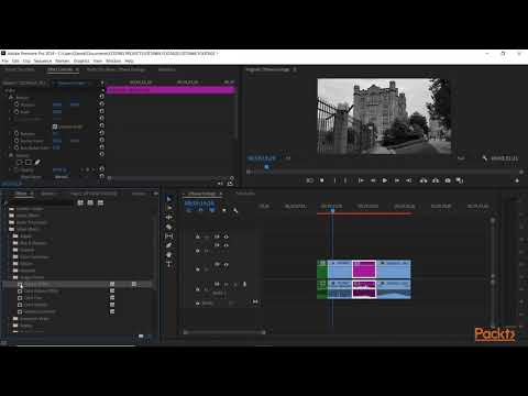 Mastering Adobe Premiere Pro CC 2020 Course Overview | packtpub com