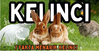 Download lagu TAK HANYA LUCU, INI 7 FAKTA MENARIK KELINCI, Salah Satunya Punya Kode Rahasia! mp3 Download lagu TAK HANYA LUCU, INI 7 FAKTA MENARIK KELINCI, Salah Satunya Punya Kode Rahasia! mp3