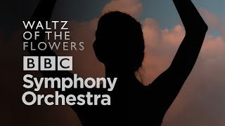 Video thumbnail for Tchaikovsky's 'Waltz of the Flowers' with Virtual Instruments | BBCSO Discover, Core & Pro by Spitfire Audio