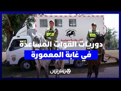 القوات المساعدة في المعمورة 