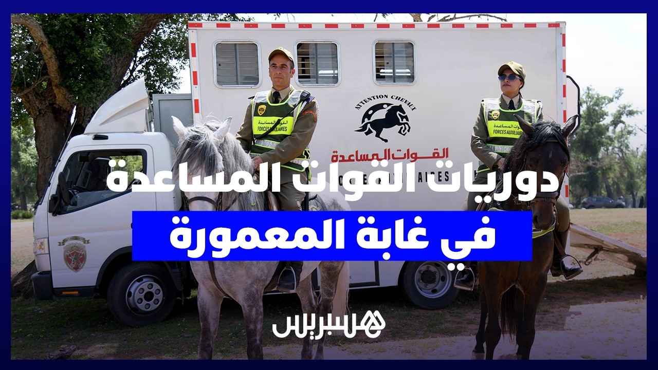 لأول مرة بغابة المعمورة… دوريات للقوات المساعدة بالخيول والدراجات الرباعية لتعزيز الأمن thumbnail