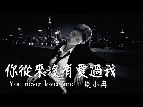 你從來沒有愛過我 (女版) 周小冉 You Never Loved Me/承諾就好像是泡沫 風一吹就輕易戳破/動態歌詞MV・Pinyin Lyrics・Eng.Sub.・日本語訳