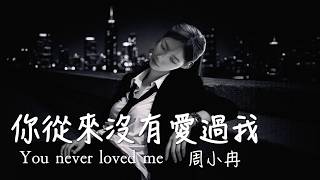 Download lagu 你從來沒有愛過我 (女版) 周小冉 You Never Loved Me/承諾就好像是泡沫 風一吹就輕易戳破/動態歌詞MV・Pinyin Lyrics・Eng.Sub.・日本語訳 mp3