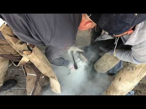 Der Schmied ist auf dem Schäferhof