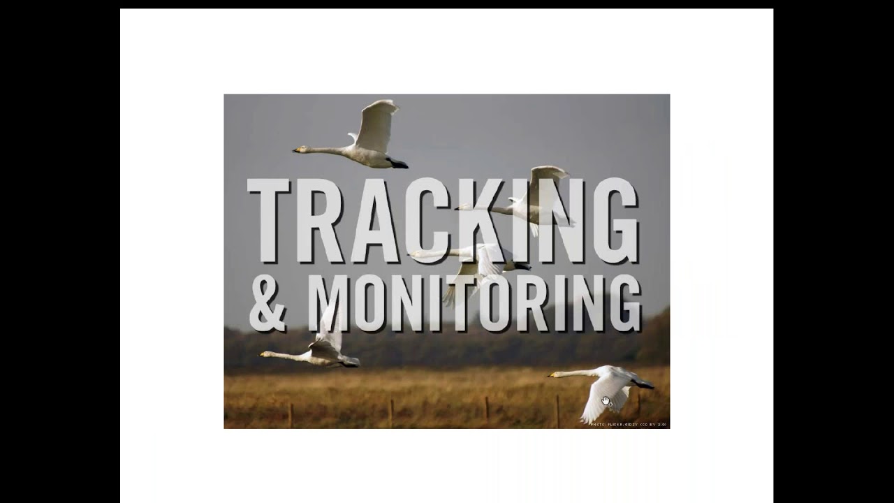 Webinar 2: Transition Preparation