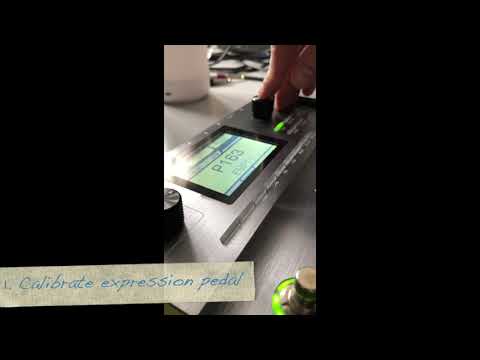 Mooer GE200 - Whammy Pedal TUTORIAL